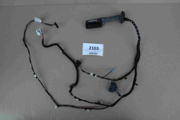Original BMW F30 F31 Door Wiring Harnes Front Left 9259976 9259760 