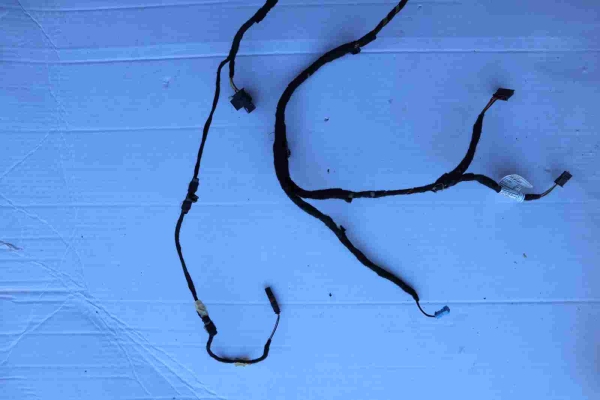 Original BMW F39 Wiring Set Rear Door 8803374 